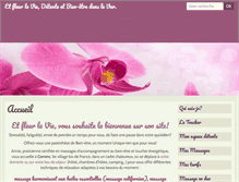 Tablet Screenshot of etfleurlavie.com